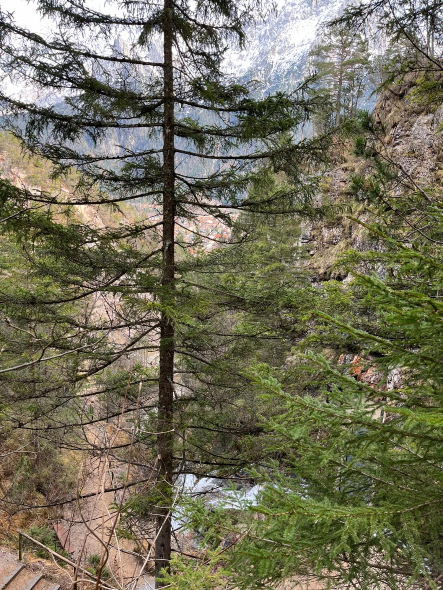 Fewo Lautersee Mittenwald Buitenkant foto